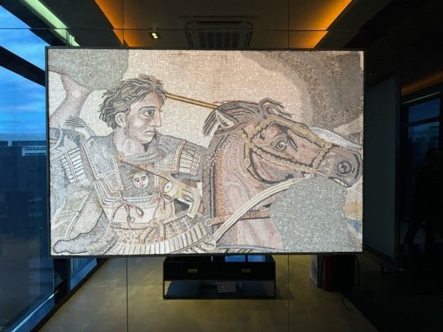 Alexander the Great marble mosaic installed in a living room